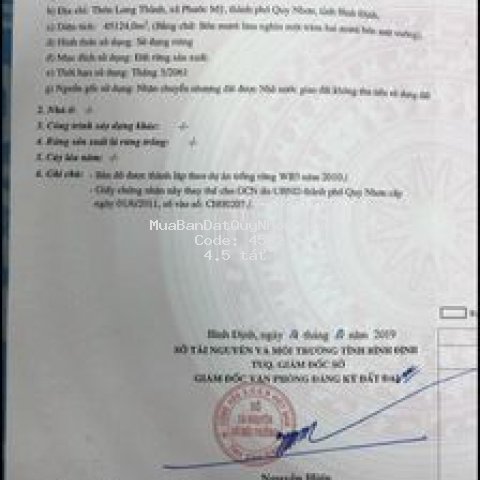 đất đang trông keo xã phước mỹ ,quy nhơn 70.000m2