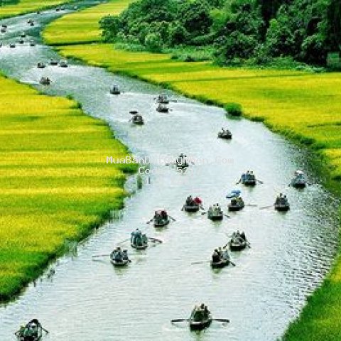 đất đập kênh kênh