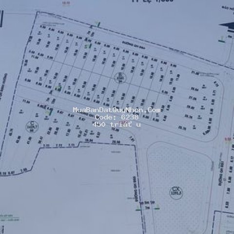 đất đất đấu giá nhà nước chuyển nhượng 111m²