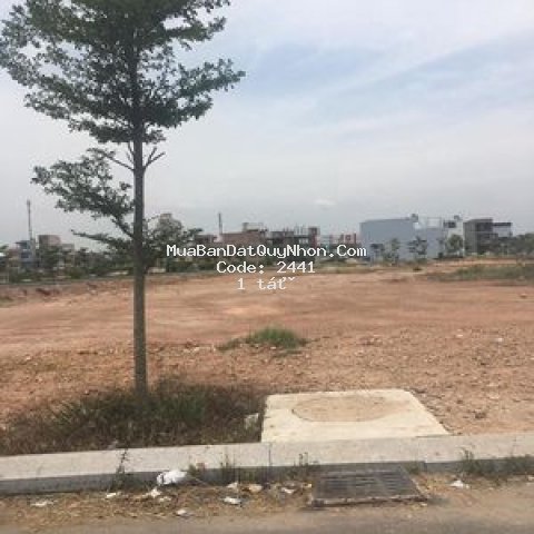 đất đẹp khu đông bàn thành bình định giá đầu tư