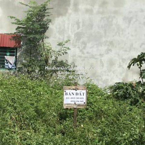 đất đường mới tt bình dương phù mỹ