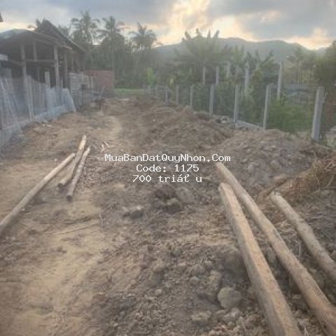 đất hoai chau hoài nhơn 356m