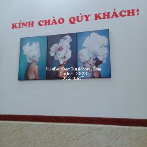 đất huyện phù cát 286000m²