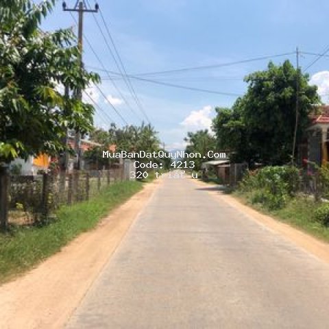 đất huyện tây sơn 1.231m²