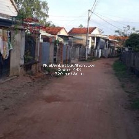 đất huyện tây sơn 150m²