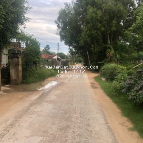 đất huyện tây sơn 2.764m² (có 200 thổ cư) giá mềm