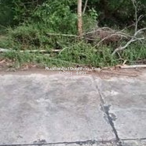 đất huyện tây sơn giáp ranh phù cát