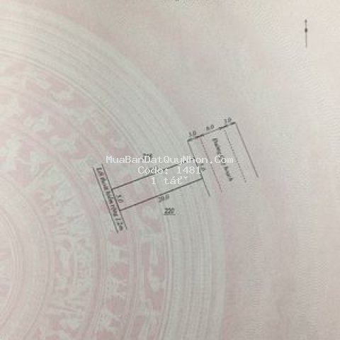 đất huyện tuy phước 100m²
