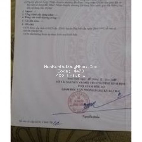 đất khu đông dân cư tt bình dương phù mỹ bình định
