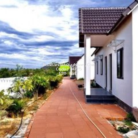 đất khu nghĩ dưỡng resort village 5,4ha quy nhơn
