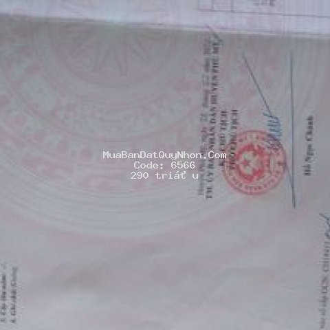 đất mặt tiền đường nhựa vĩnh phú_mỹ tài.