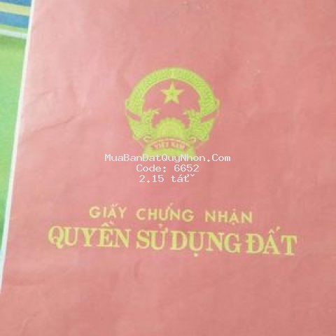 đất mặt tiền nguyễn huệ quy nhơn 119m2 n6