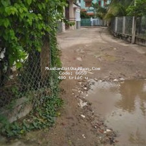 đất mỹ chánh, phù mỹ