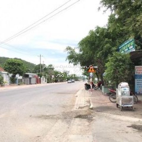 đất nền bình định city view ngay thành phố quy nhơ