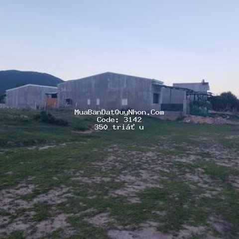đất nền cát nhơn phù cát