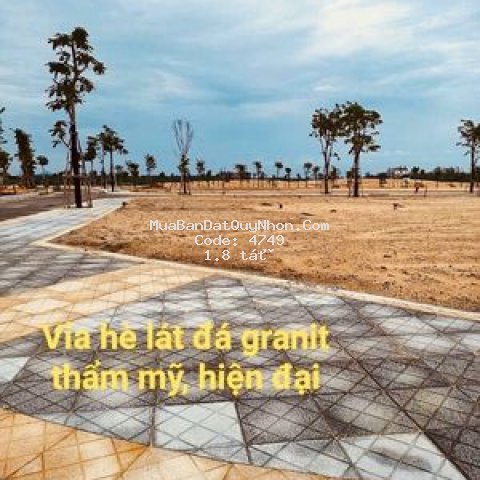 đất nền khu khinh tế nhơn hội