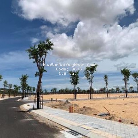 đất nền kỳ co quy nhơn -giá đầu tư sinh lời
