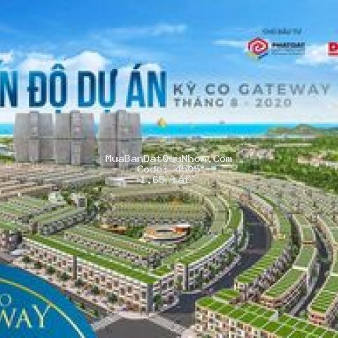 đất nền sổ đỏ ven biển ở quy nhơn