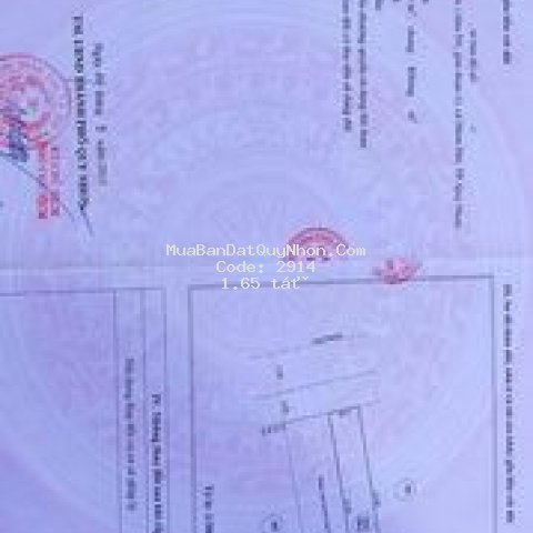 đất nền thổ cư tp quy nhơn
