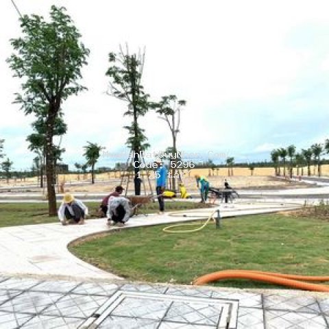 đất nền ven biển quy nhơn-đã có sổ, tt linh hoạt