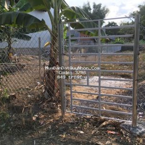 đất nhơ phú, qui nhơn 199m²