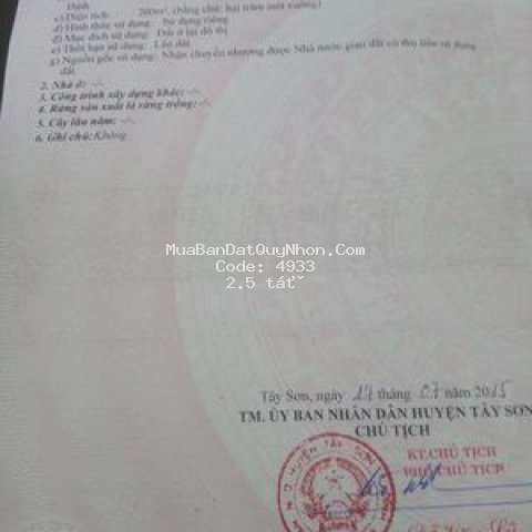 đất quy nhơ giá đầu tư