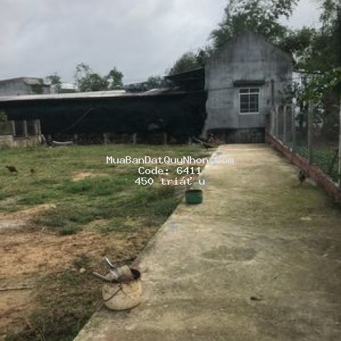 đất rẻ thị trấn tuy phước