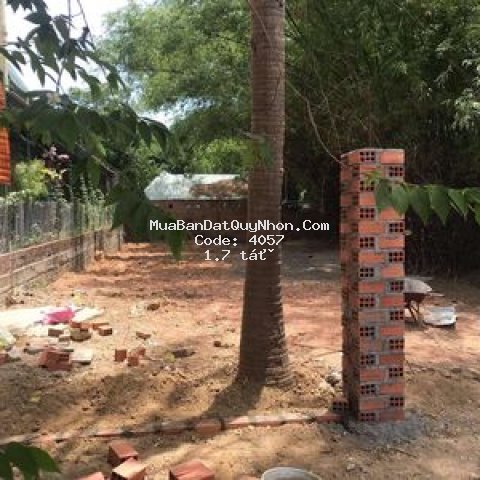 đất sổ đỏ 104m2 đối diện kdc tân an riverside