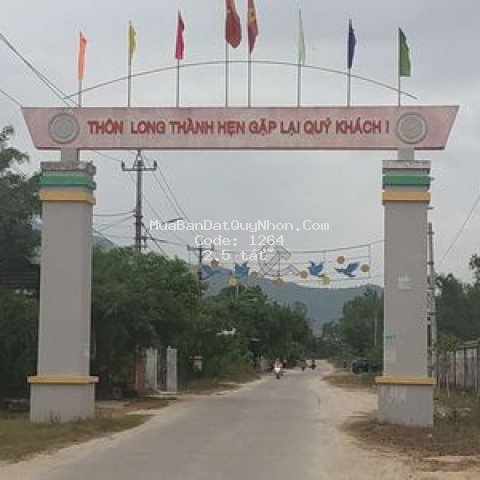 đất sổ đỏ, 560m2, 200m2 thổ cư, mặt tiền, giá 2,5