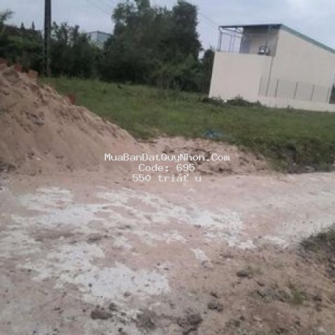 đất sổ hồng chính chủ 100m2