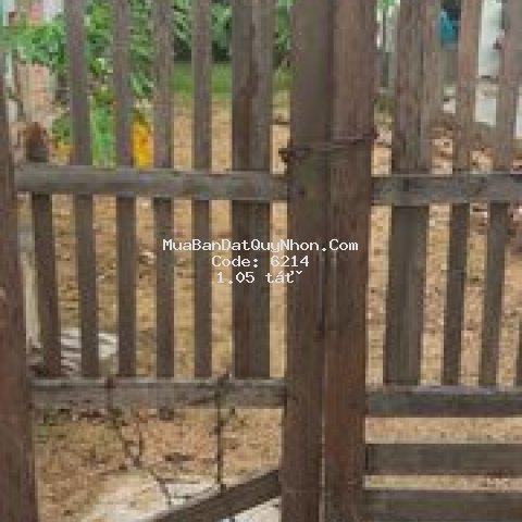 đất thành phố qui nhơn 155m²