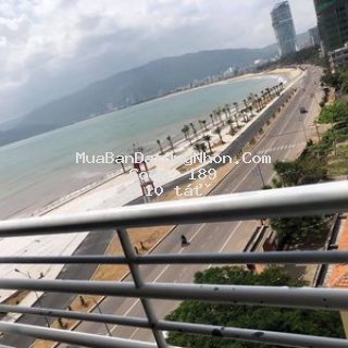 đất thành phố qui nhơn 425m² (25x17)