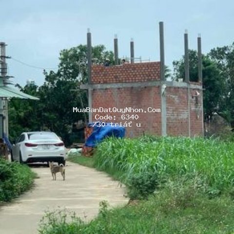 đất thành phố qui nhơn 47m² phường nhơn phú