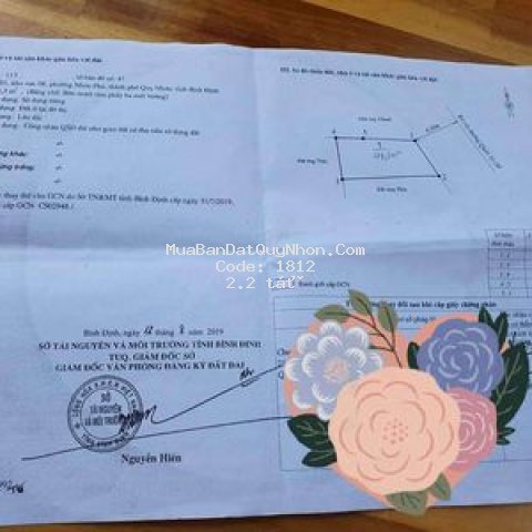 đất thành phố qui nhơn 48m²