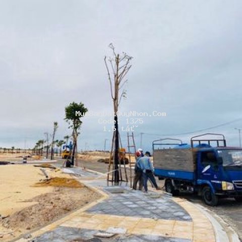 đất thành phố qui nhơn 80m²