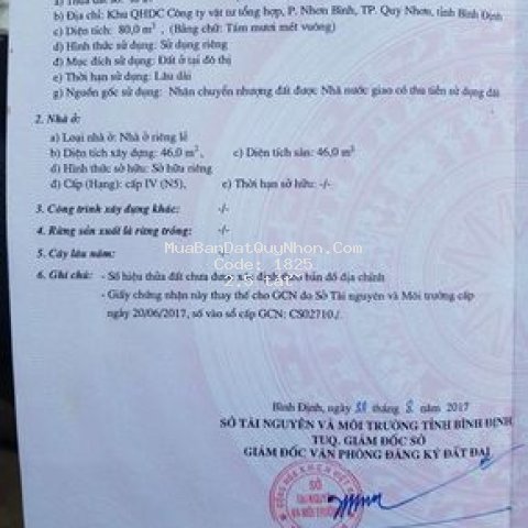 đất thành phố qui nhơn 80m²