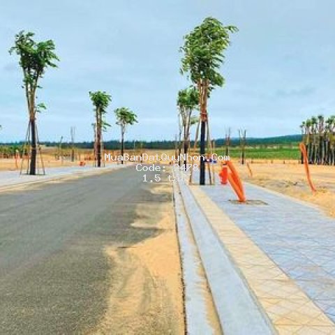 đất thành phố qui nhơn 80m²