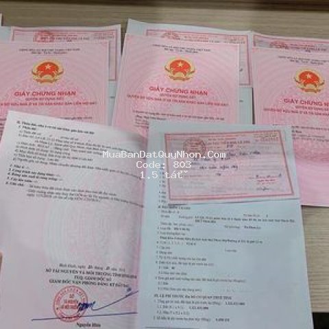 đất thành phố qui nhơn 80m² chỉ 1ty5