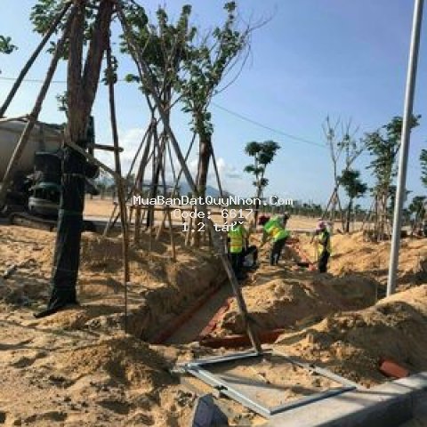 đất thành phố qui nhơn 80m² mặt tiền biển