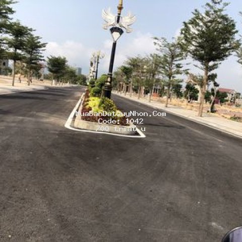 đất thấp  khu vực nhơn hội