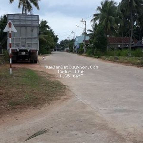 đất thị trấn tam quan - giá tốt