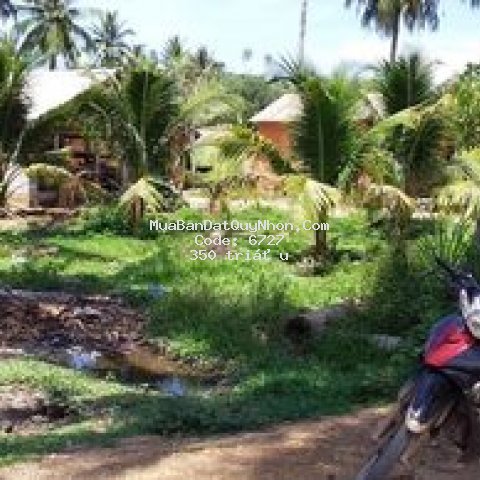 đất thổ cư 10x45m hoài sơn, hoài nhơn, bình định