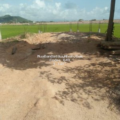 đất thổ cư huyện tuy phước, bình định 100m2 (20x5)