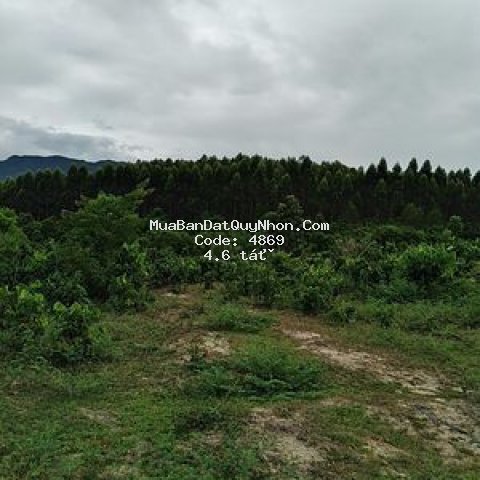 đất thôn kinh tế, canh vinh, h vân canh 153.100m²