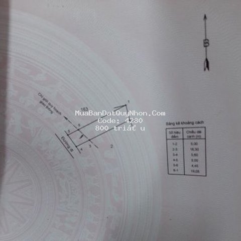 đất tiềm năng lãi cao