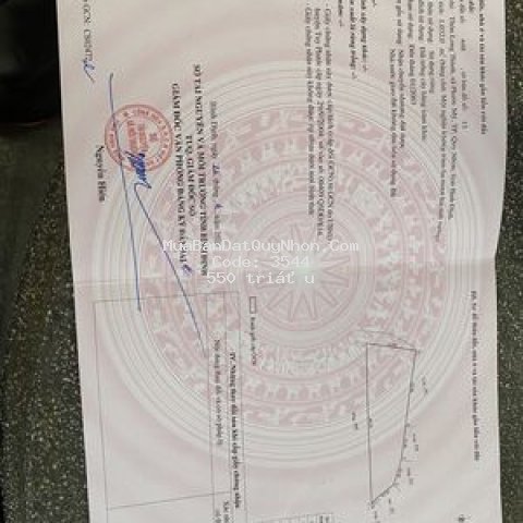 đất trồng cây hàng năm khác