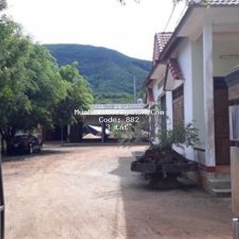 đất và nhà cần bán như chính chủ