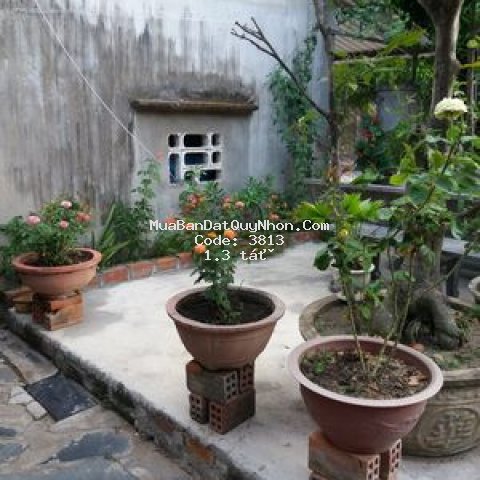 đất và nhà ngã tư tuy phước, bán gấp 1,3 tỷ/ 100m2