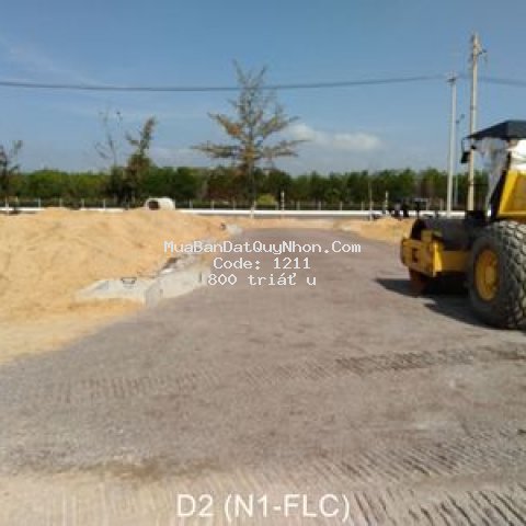 đất ven biển kỳ co; eo gió sổ đỏ lâu dài