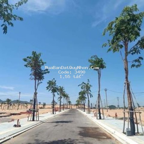 đất ven biển quy nhơn, shr, 1 tỷ 5